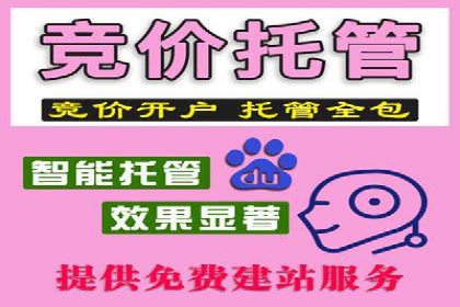 SEM竞价开户技巧：从案例中学习